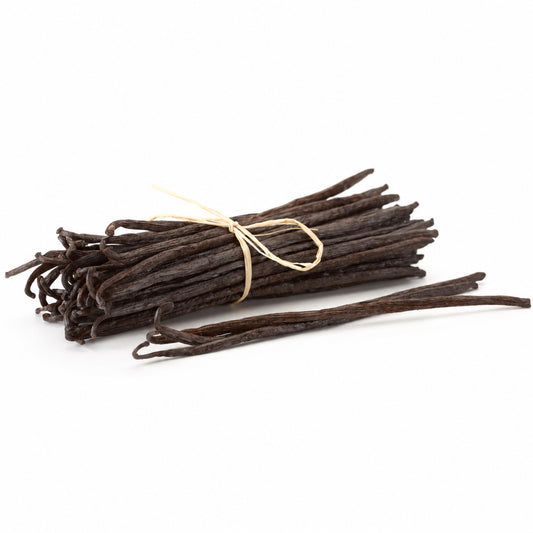A bundle of vacuum-sealed Madagascar vanilla beans tied with a string, against a white background.