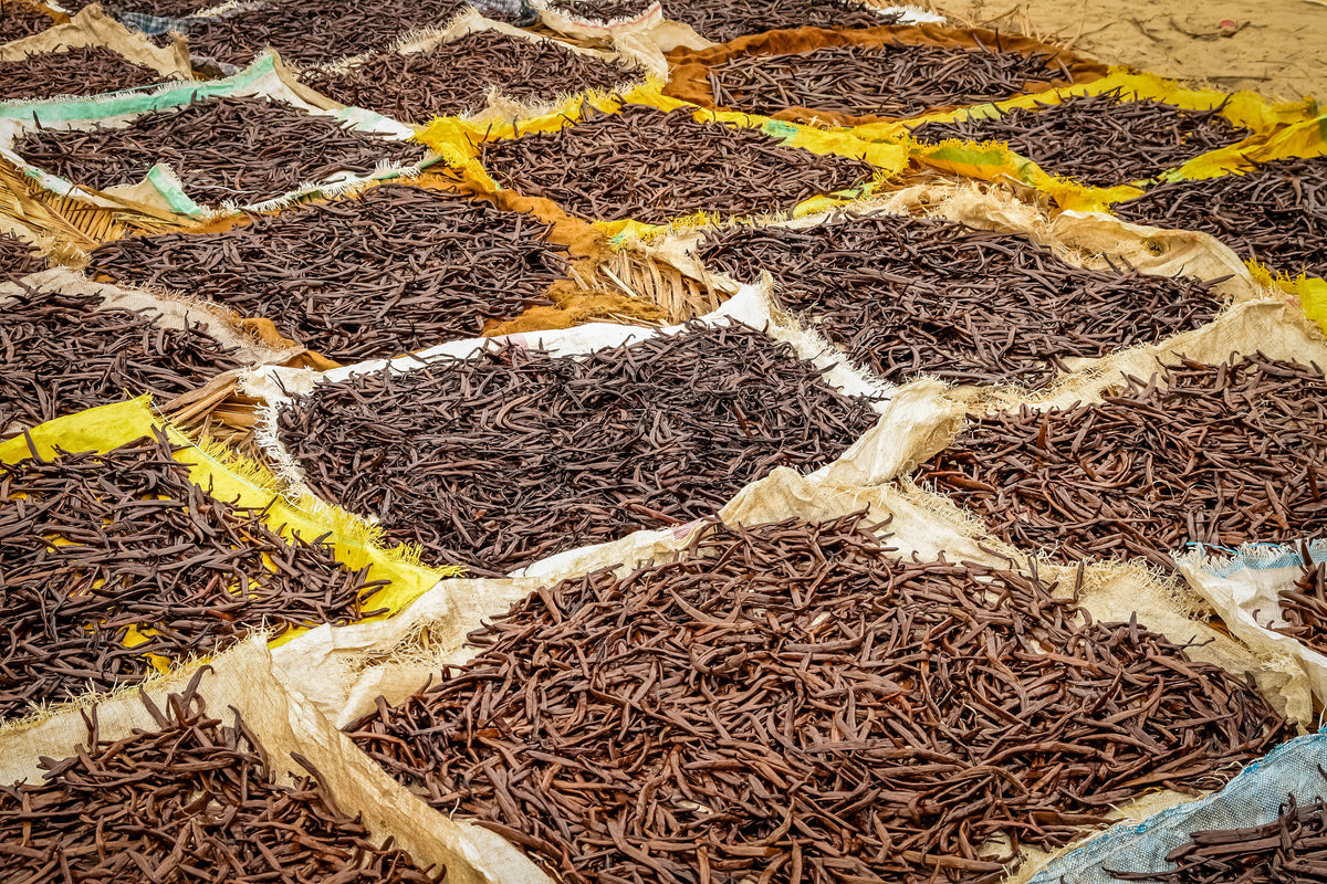 Gousses de vanille de Madagascar Gourmet Grade A